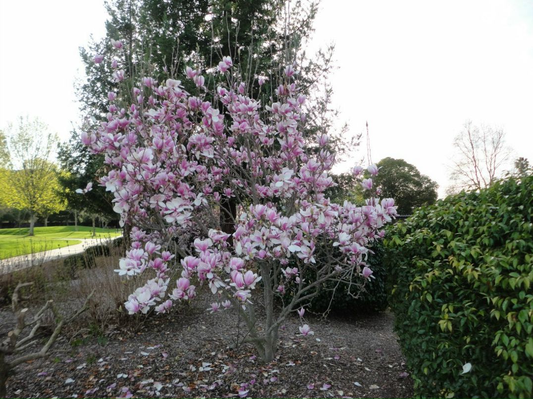 Иван Внуков | Санкт-Петербург