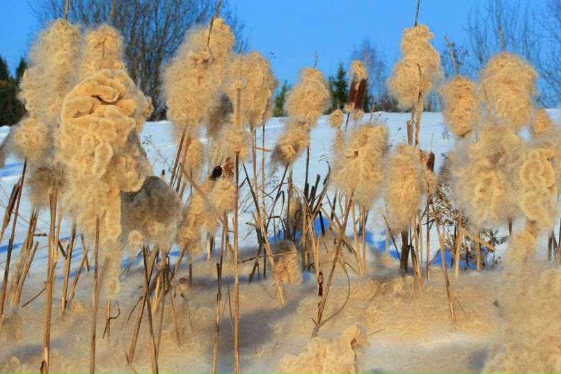 Игорь Цветков DJ Tsvet | Москва