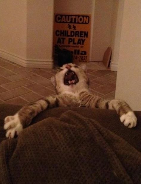 Артемий Сафонов >:Quaint:< | Москва