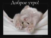 №23 Анна Гуськова : профиль, фото, статус - ВКонтакте