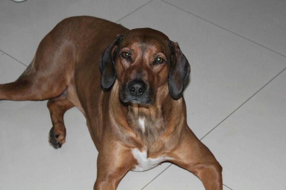 Даша Райскина | Москва