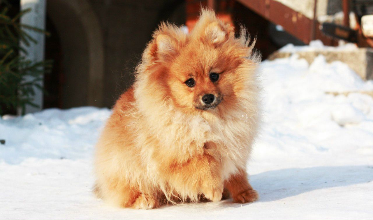 Sasha Nemkova не ну а чё | 