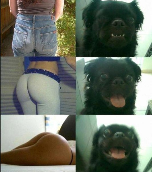 №20, Oleksandr Dzhurko, Симферополь №20, Oleksandr Dzhurko, Симферополь