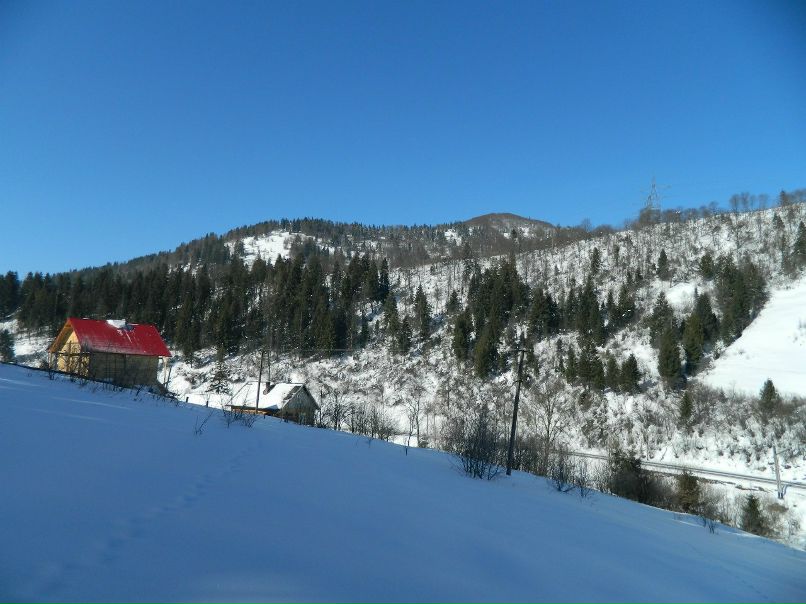 Роман Плахтина | Львов