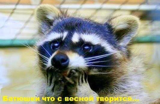 Яна Чеберяк ღ•°•°ღ | Киев