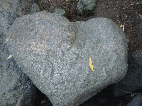 №10, Евгений Шеховцов, 09.03.1991, Запорожье №10, Евгений Шеховцов, 09.03.1991, Запорожье