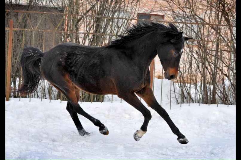 Ирина Соболева-Бурмистрова Figurka:) | Москва