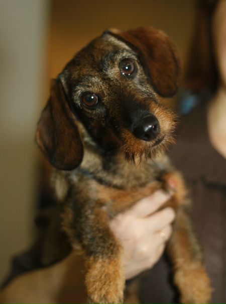 №7, Сашка Лукьянова, 37 лет, Санкт-Петербург №7, Сашка Лукьянова, 37 лет, Санкт-Петербург