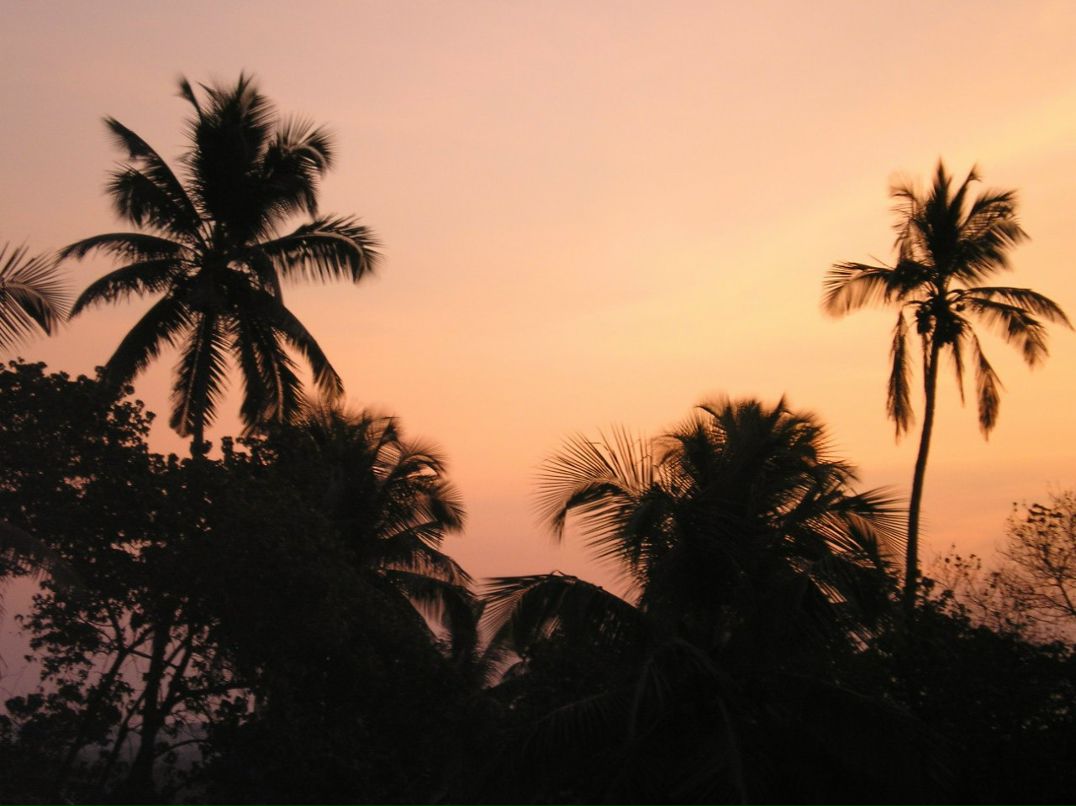 Бабкен Авакян | 