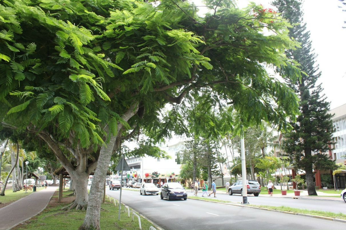 Наталия Stronger | Киев