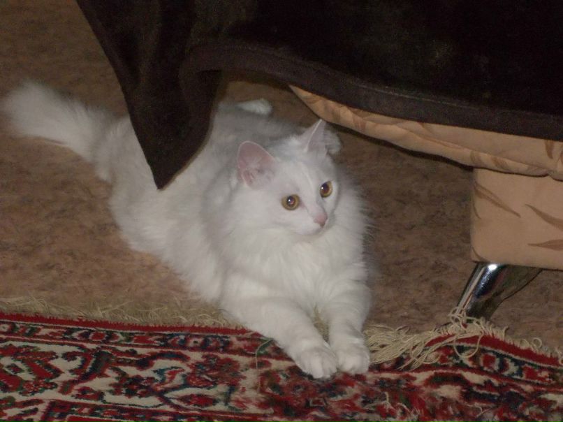 Toxa Zhvakin тоша | Сосновоборск