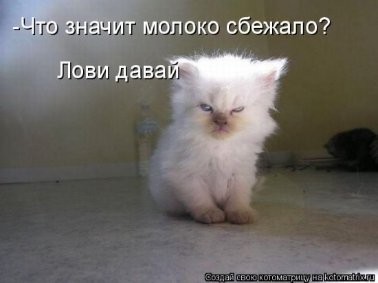 Ольга Яременко | Киев