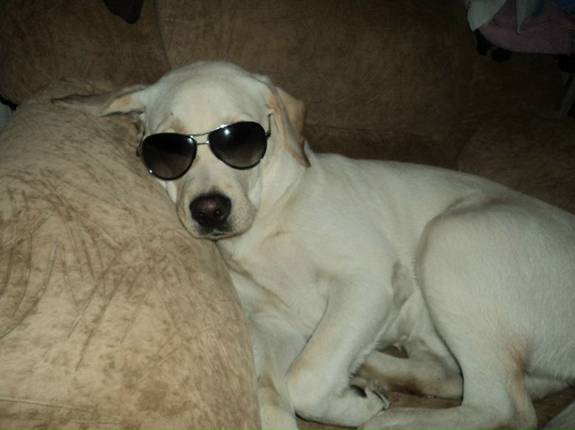 Екатерина Бурцева | Рогачев