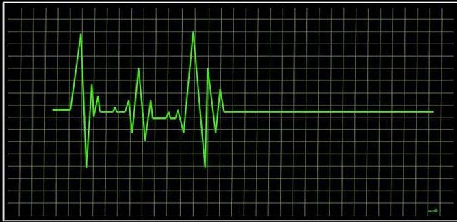 Елена Герасимова | Москва