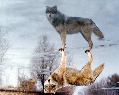 №64, Олег Анатольевич Павлов №64, Олег Анатольевич Павлов