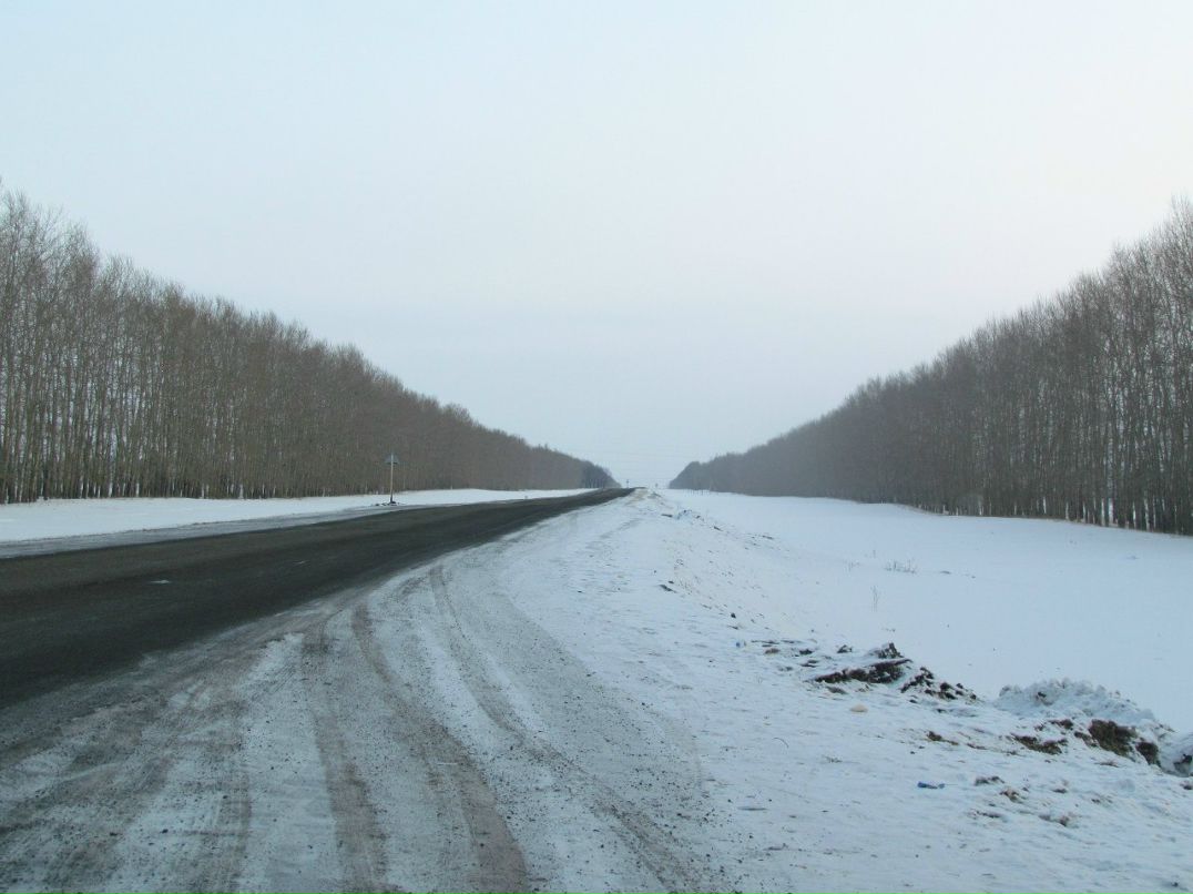 Айдар Хазиев | Набережные Челны