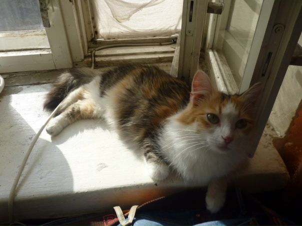 №106, Катерина Ванина, 38 лет, Санкт-Петербург №106, Катерина Ванина, 38 лет, Санкт-Петербург