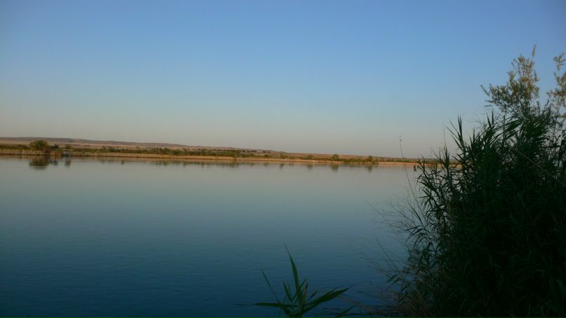 Дмитрий Долгалёв | Алматы