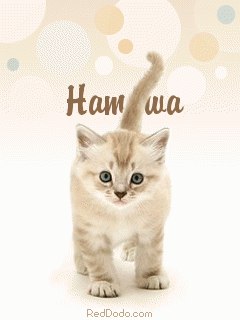 Наталия Чернова | 