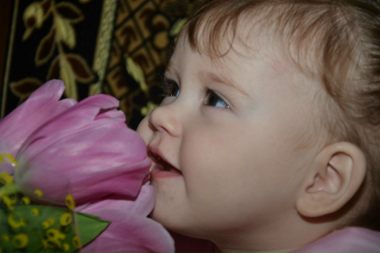 Елена Маланчева | Чебоксары