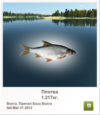 Мадест Полуэктов | Москва