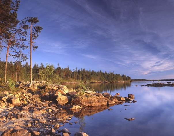 Максим Медяков | Фрязино