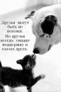 Фотография Алёна Фёдорова