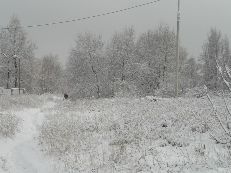 Олег Турчак | Севастополь