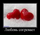 Фотография Никита Дмитриев