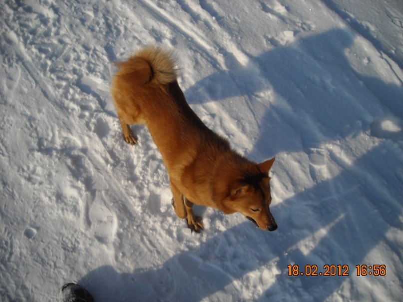 Юлия Малинина | Санкт-Петербург