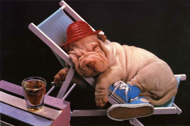 Сергей Чипюк | Москва