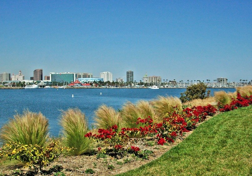 Александр Зелюкин | Long Beach