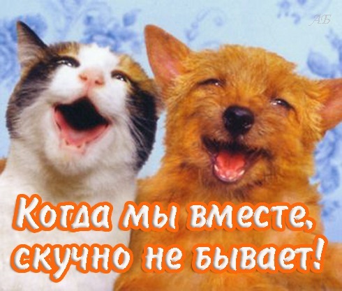 №94, Светлана Рыбакова, 38 лет, Санкт-Петербург №94, Светлана Рыбакова, 38 лет, Санкт-Петербург