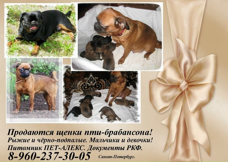 №137, Наталья Фролова, 44 года, Санкт-Петербург №137, Наталья Фролова, 44 года, Санкт-Петербург