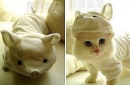 Фотография Ворошиловой Татьяны