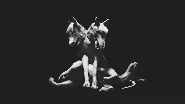 PJ Harvey