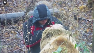 Поделись Мансурчик ты спать собираешься этой зимой?🐻❓