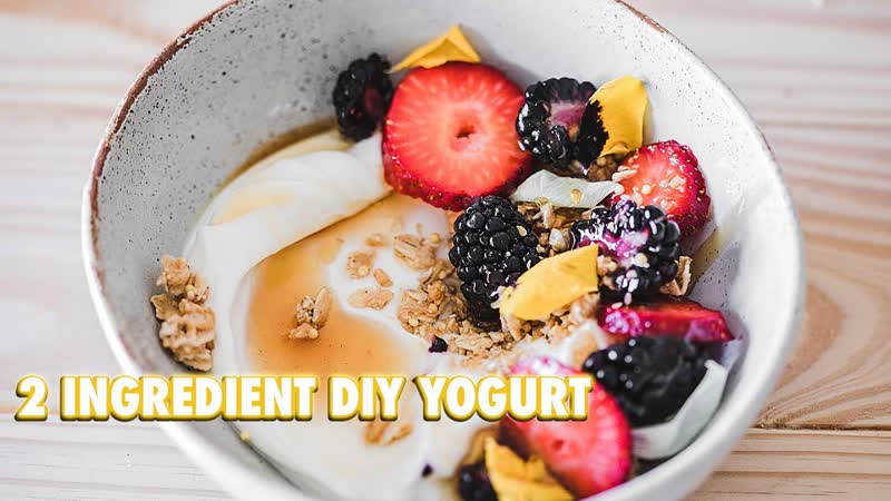 How To Make Your Own Yogurt With 2