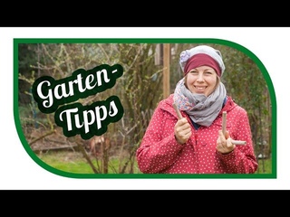 Aussaat & Gartentipps im Mrz  Tipps zum  Pikieren  Gartenarbeiten im Mrz