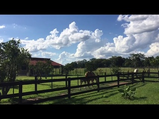 Paraguay 42 ha Estancia