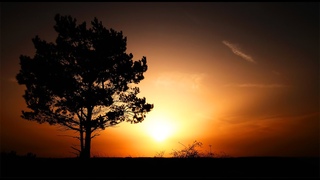 As with rosy steps the morn (Handel) Lorraine Hunt Lieberson