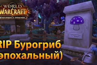 RIP Бурогриб (эпохальный)
