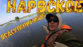Ищем полосатого разбойника в водохранилище!!!