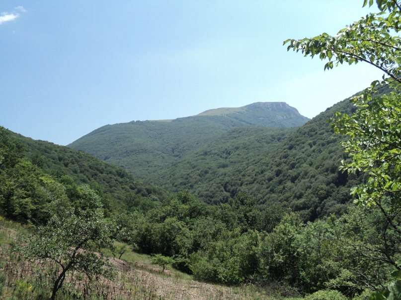 Дмитрий Онищенко | Николаев