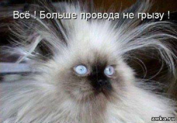 Оксана Иванова (LOVE)лю тво(YOU) улыбку |