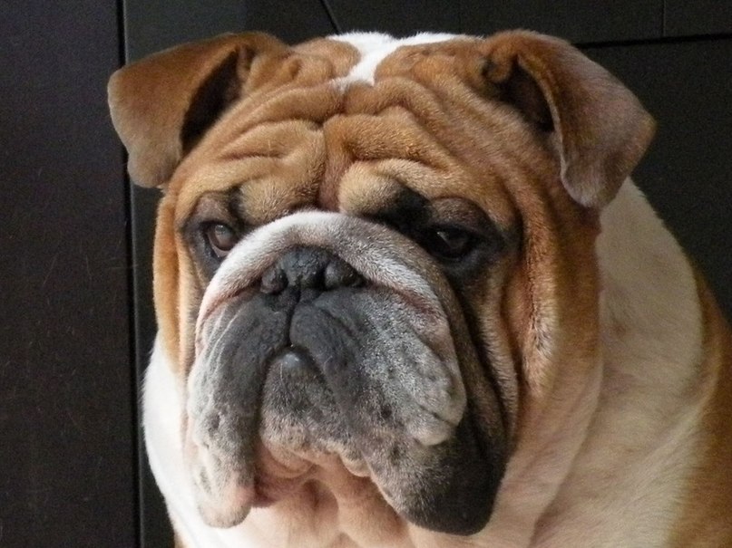 Дмитрий Бартов | Ростов-на-Дону