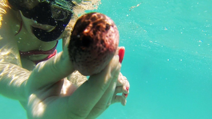 Анастасия Русина | Санкт-Петербург