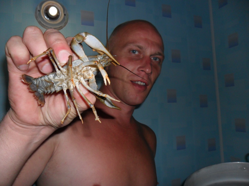 Серёга Шаров | Ираель