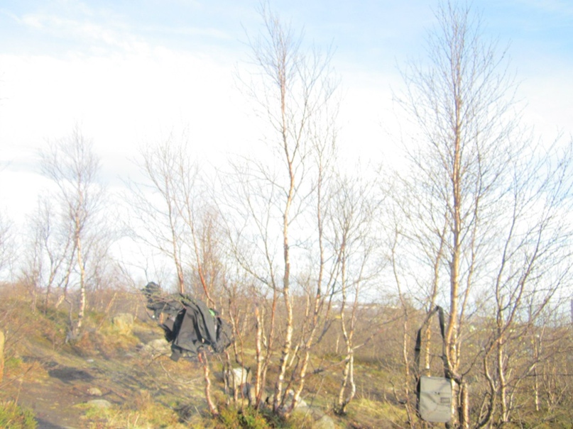 Александр Игоревич | Мурманск