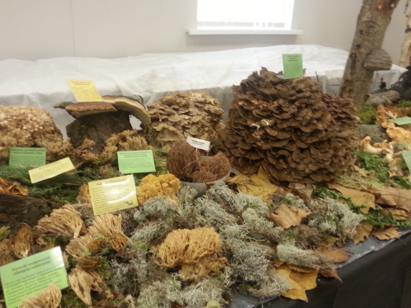 Людмила Бикчантаева | Санкт-Петербург